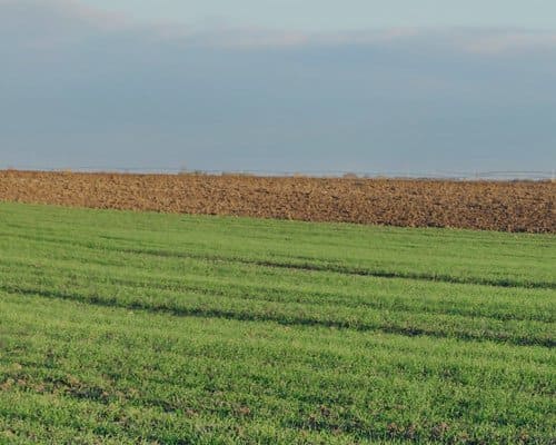 qu'est-ce qu'un Besoin en Fonds de Roulement ?