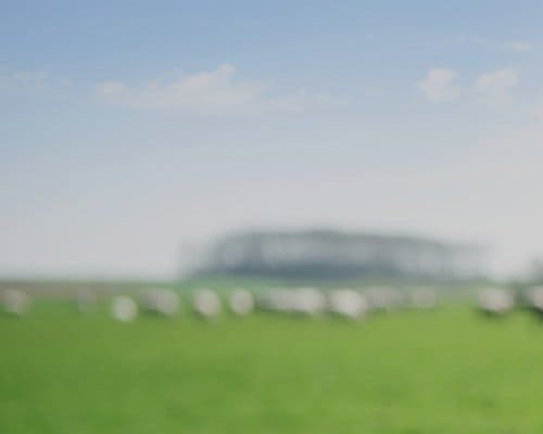 qu'est-ce qu'un Besoin en Fonds de Roulement ?